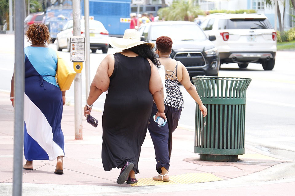 La obesidad: causas y consecuencias en la salud