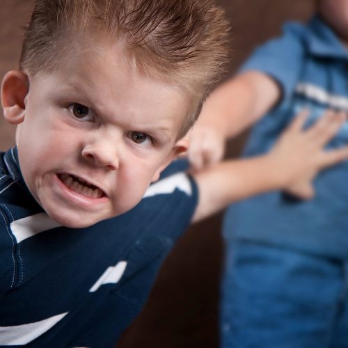 ¿Cómo se puede prevenir el comportamiento agresivo en los niños?